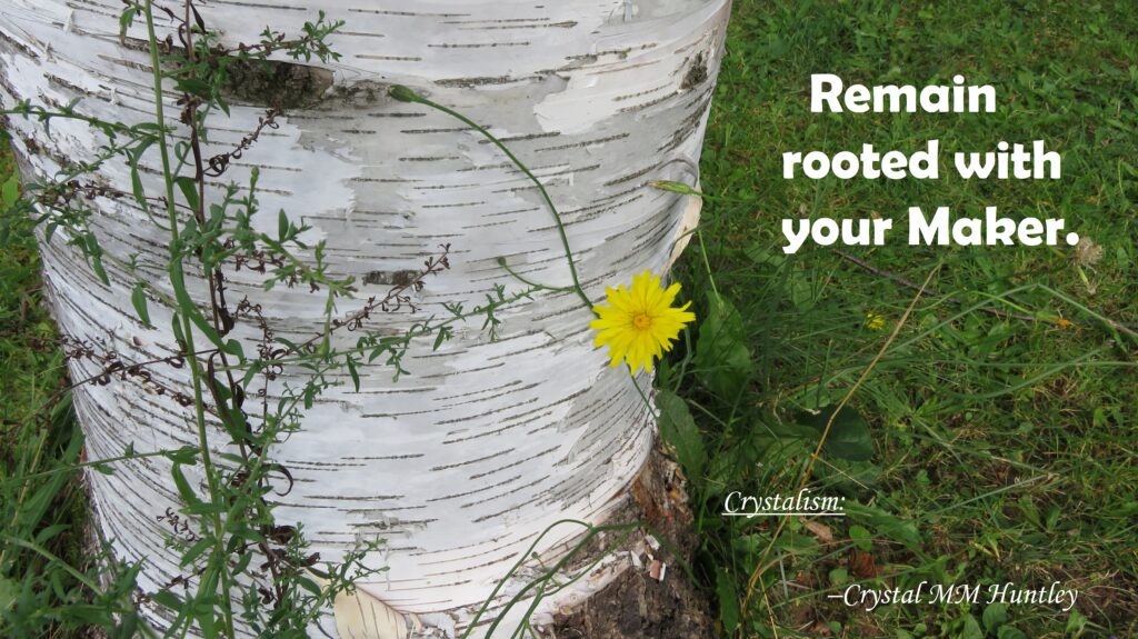 How to Rebuild Your Foundation and Remain Rooted.