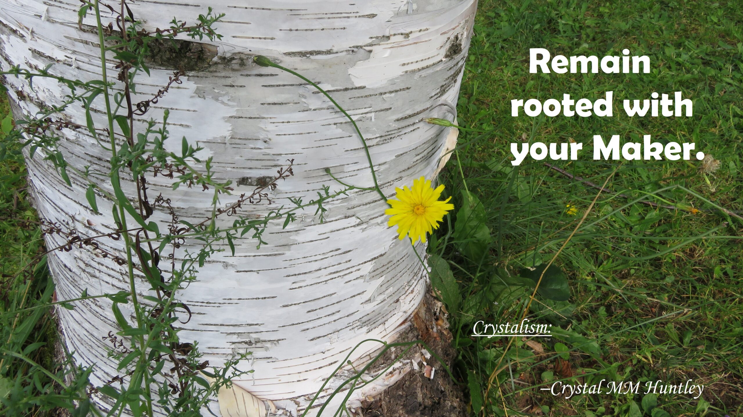 You are currently viewing How to Rebuild Your Foundation and Remain Rooted.