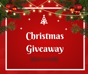 Read more about the article Christmas Giveaway for a Limited Time – Don’t Miss Out!