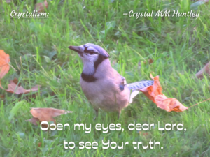 Read more about the article Do You Know How to See Hidden Truths?