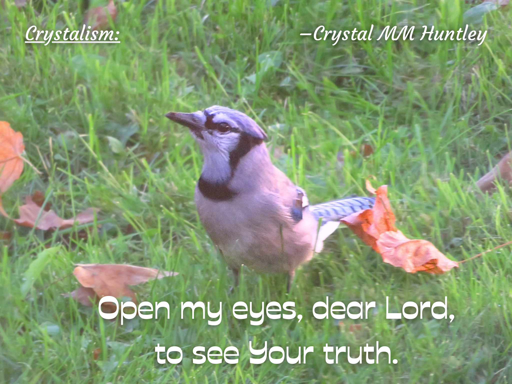 You are currently viewing Do You Know How to See Hidden Truths?