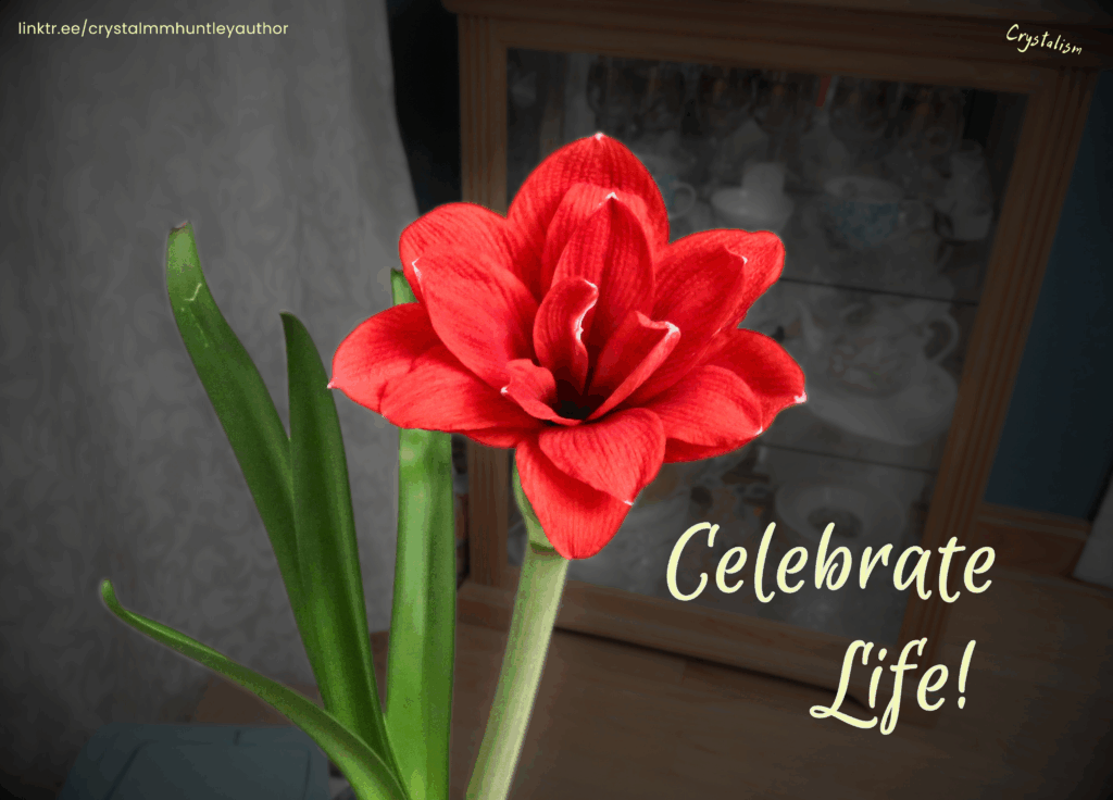 Seven Steps to Surrendering