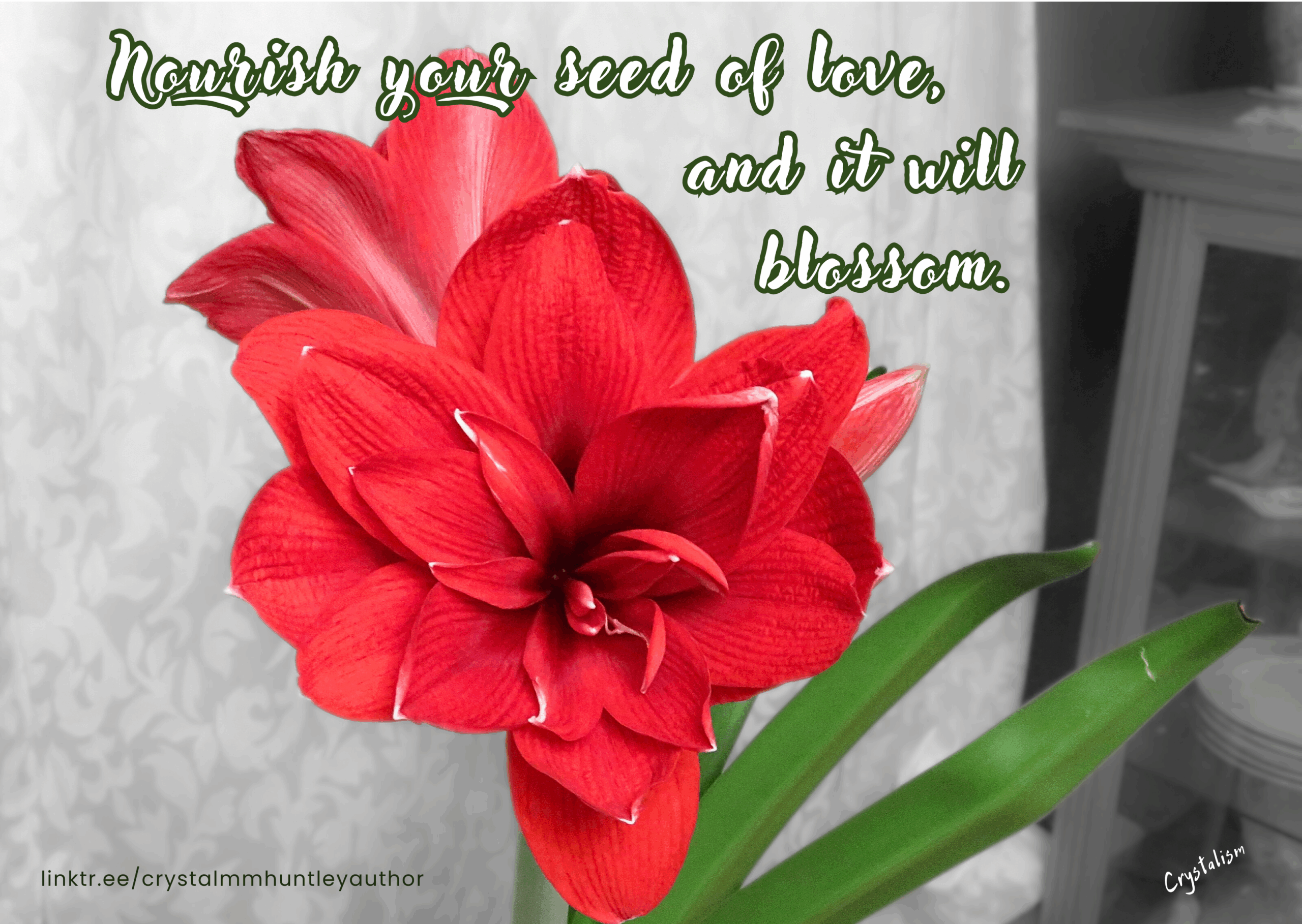 Read more about the article Who Truly Are You?