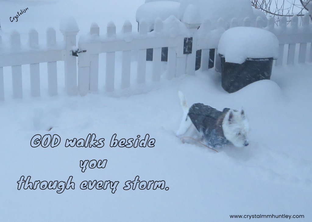 Why Share Your Story?