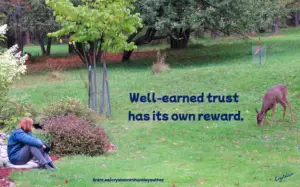 What Seeds Have You Sown?
