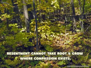 How Do You Forgive and Remain Safe?