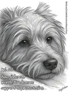 What Is Grooming?